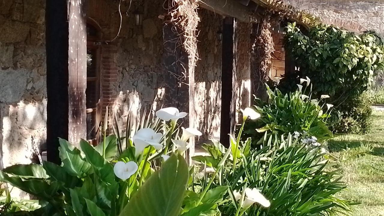 Casa Rural El Refugi Platja D'Aro 4 Romanyá de la Selva Eksteriør billede