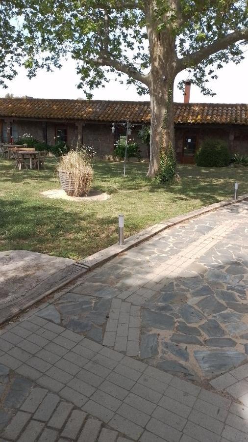 Casa Rural El Refugi Platja D'Aro 4 Romanyá de la Selva Eksteriør billede